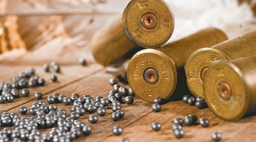 Казакевіч: «Што да закрыцця межаў, гэтыя патроны былі занадта хутка расстраляныя»