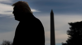 Стратегия идиотов. Если вам кажется, что мир сошел с ума, то вы в порядке