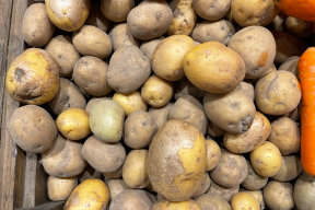 Картофель в магазинах «уставший», весь в «глазках» и «бороздках»