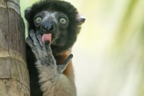 Как министр Марков не дал беларусам дискриминировать русский язык