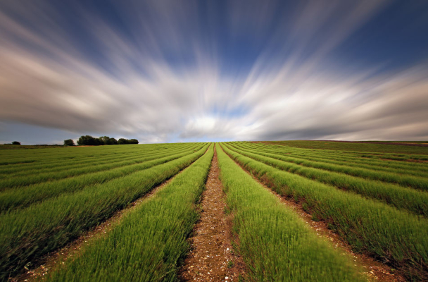 Кнырович: «История прекрасная, потому что за ней кроется более широкое поле»